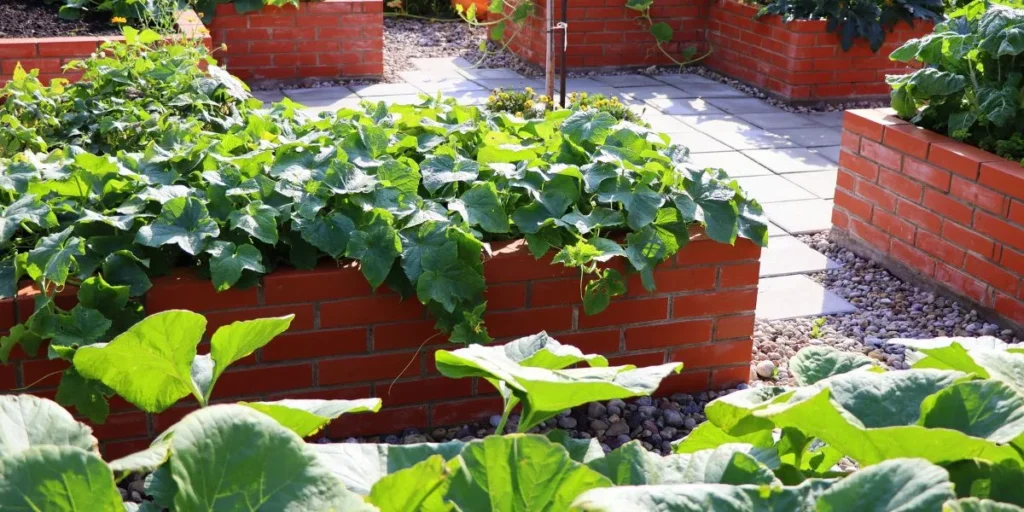 What Are the Benefits of Raised Garden Beds? What Are the Benefits of Raised Garden Beds?